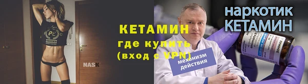 крисы Ельня