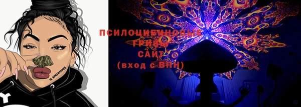 крисы Покров