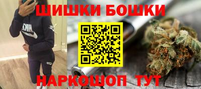индика Кунгур