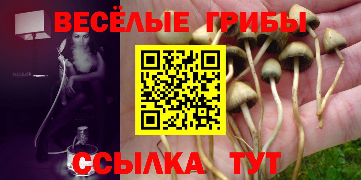 Псилоцибиновые грибы MAGIC MUSHROOMS  Вход с VPN  Сегежа 